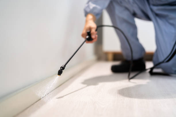 Bed Bug Pre-Treatment Preparation Assessment in Langley
