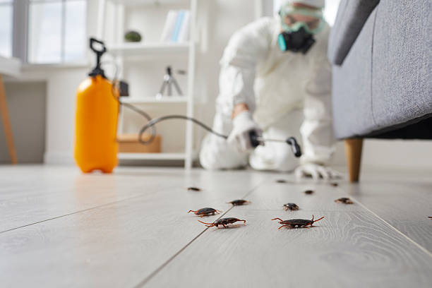 Post-Treatment Bed Bug Interceptor Monitoring in Langley