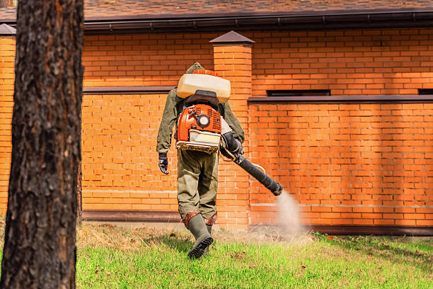 Bed Bug Clearance Verification and Documentation in Langley